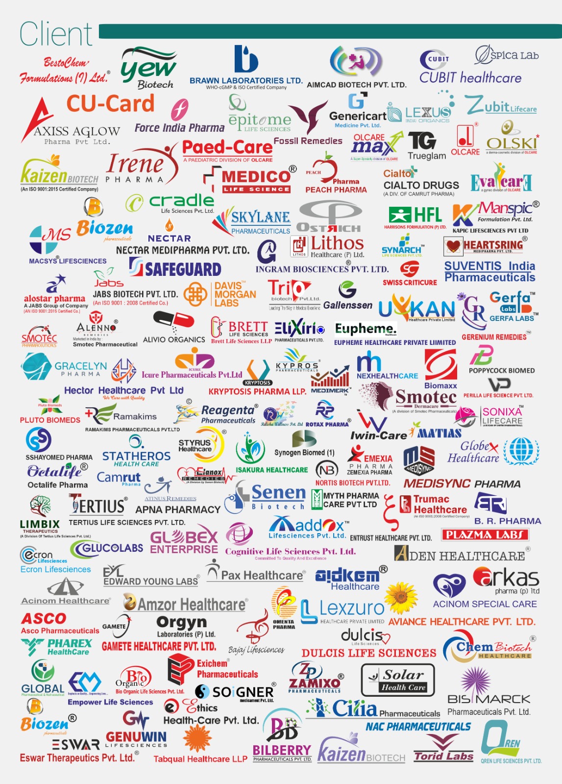 WhatsApp Image 2026-03-13 at 11.34.59 (1)