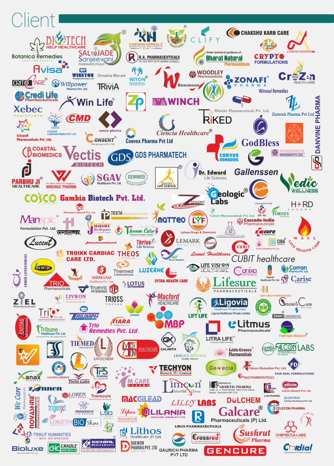 WhatsApp Image 2026-03-13 at 11.34.59 (2)