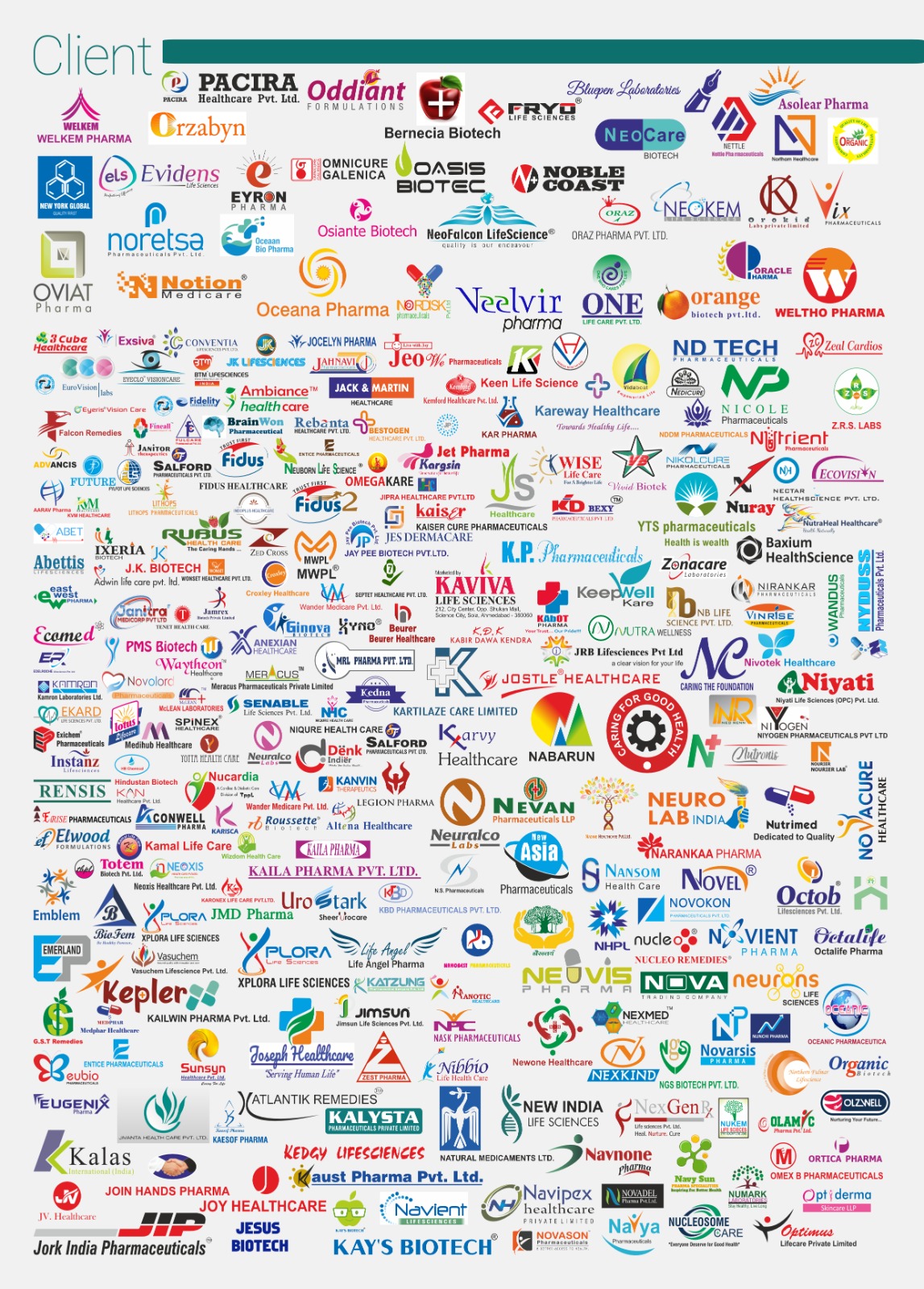 WhatsApp Image 2026-03-13 at 11.34.59