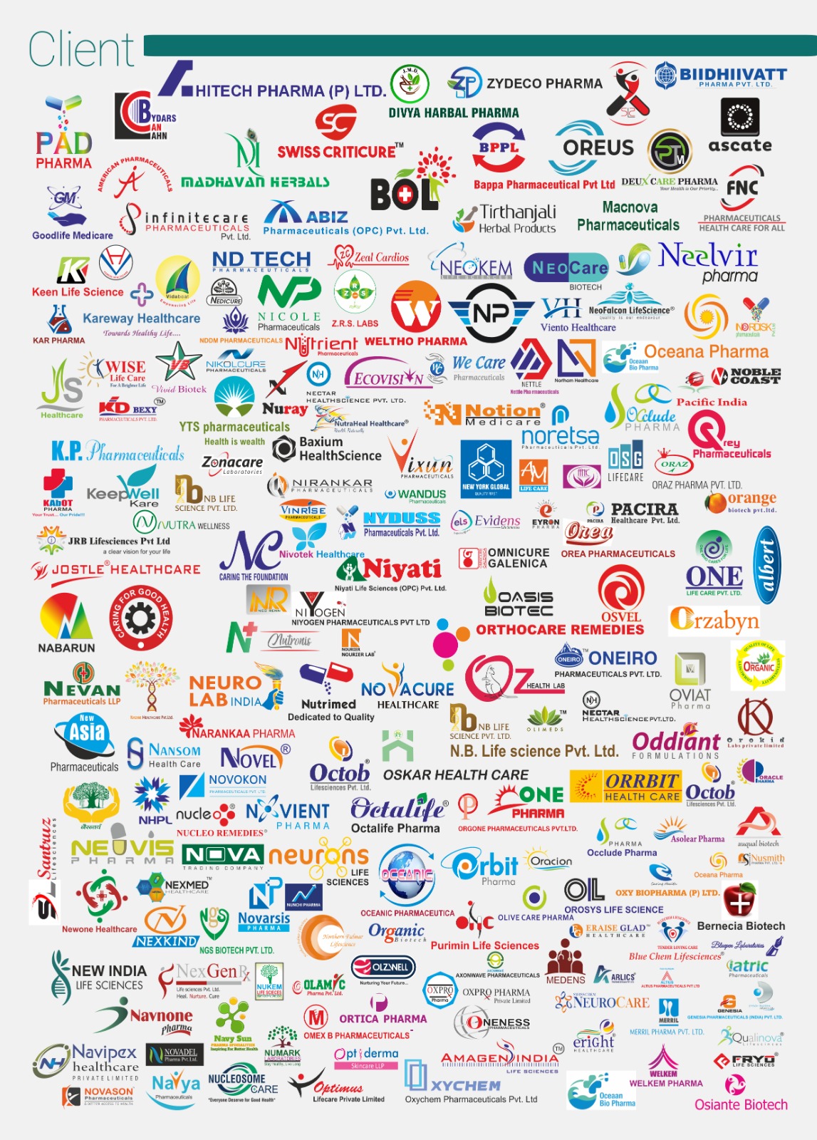 WhatsApp Image 2026-03-13 at 11.35.00